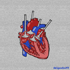 Cardiovalveular VII Design by  team blipshift